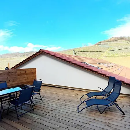 Apartman Vue Splendide Au Coeur Des Vignes Bergheim