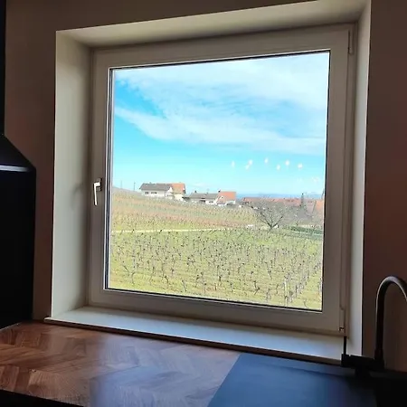 Vue Splendide Au Coeur Des Vignes Apartament